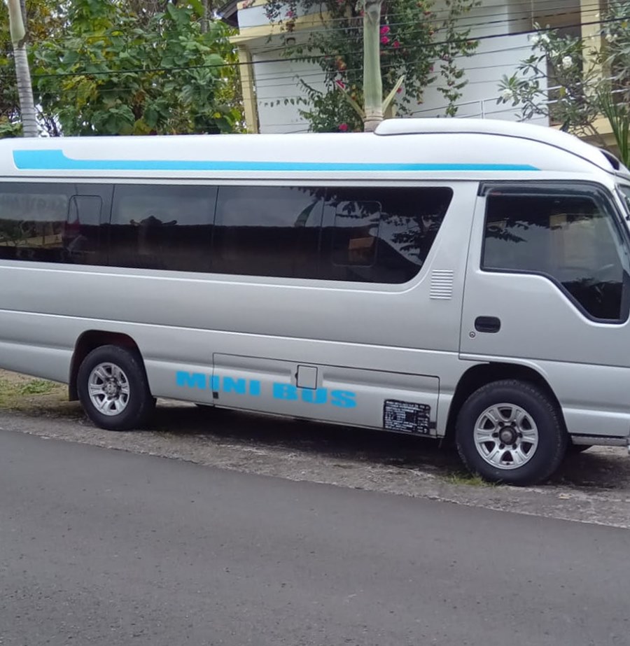 Elf Minibus